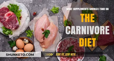 Carnivore Diet: Best Supplements to Take
