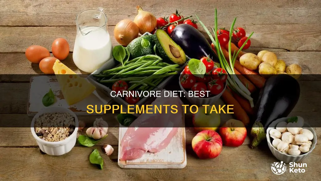 what supplements should i take on the carnivore diet
