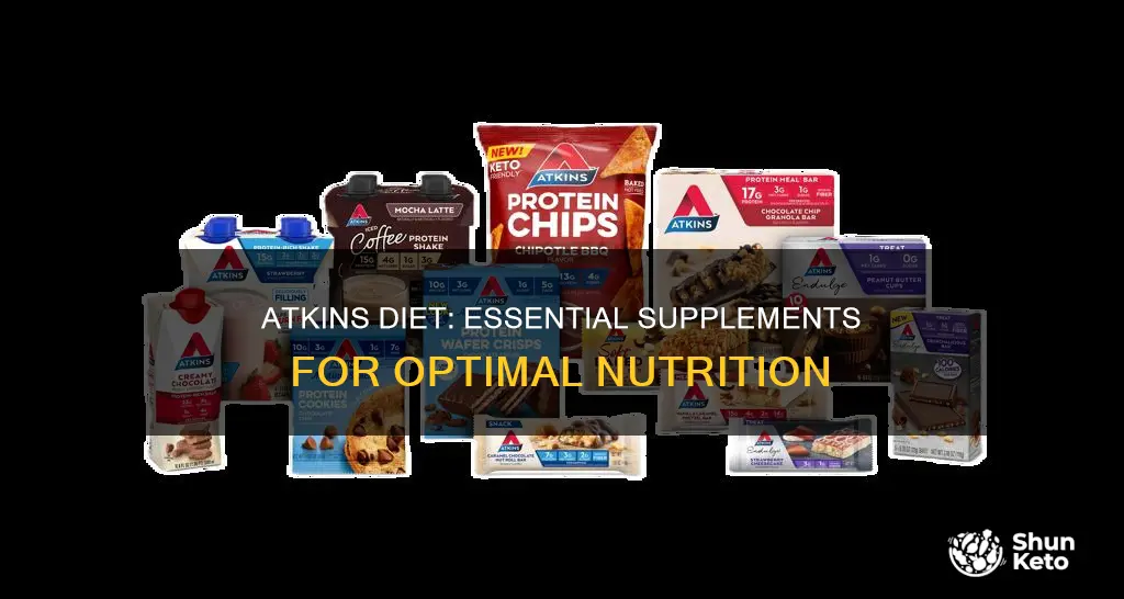 what supplements should i take when on atkins diet plan