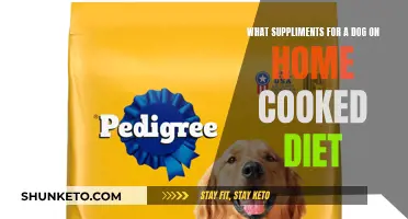 Supplements for Dogs on a Home-Cooked Diet