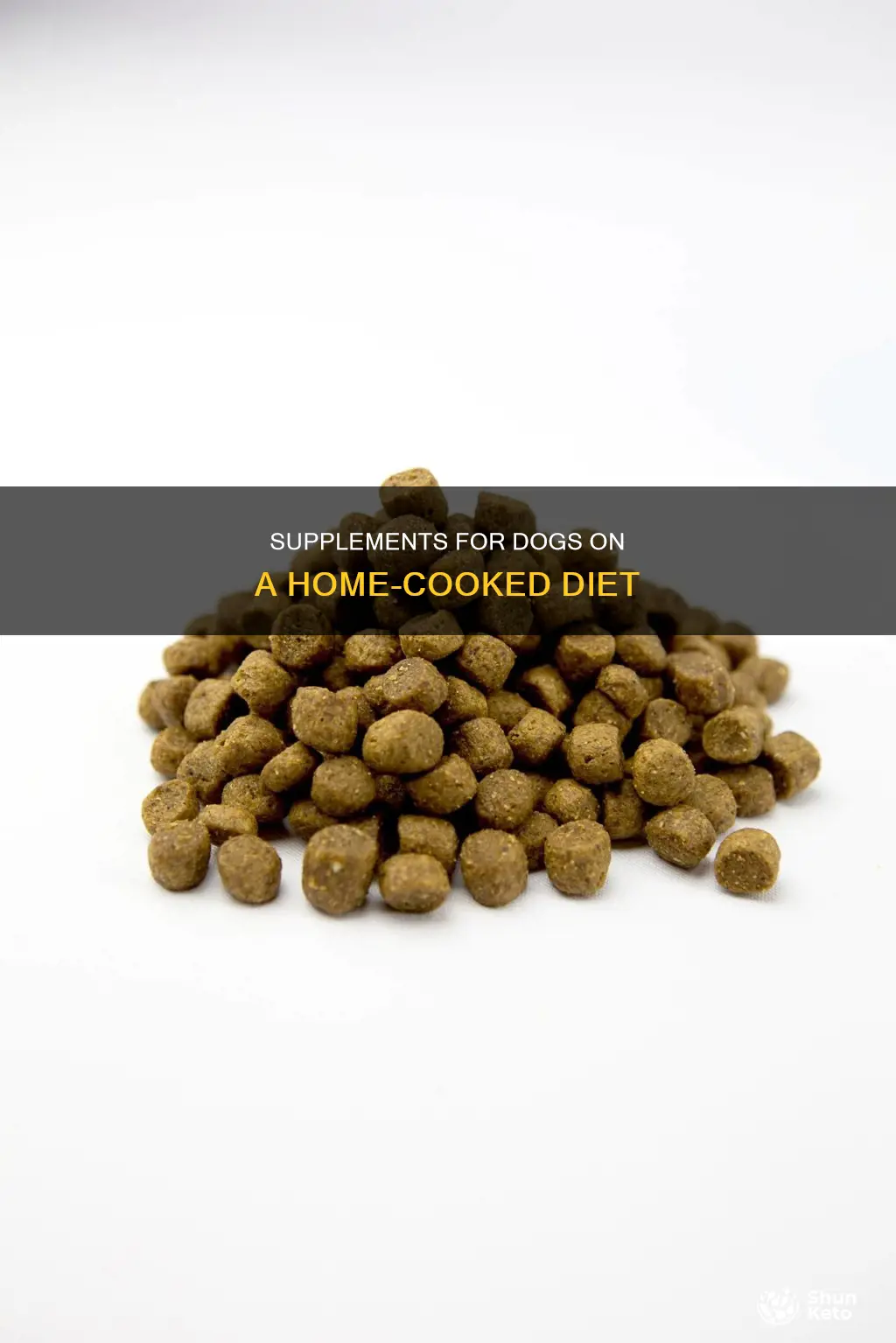 what suppliments for a dog on home cooked diet