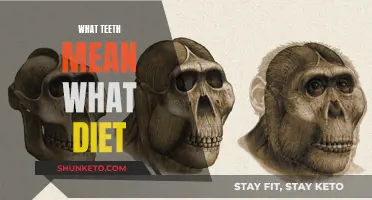 Teeth and Diet: Unlocking the Secrets of Ancient Diets