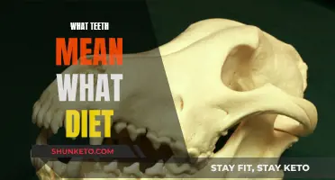 Teeth and Diet: What Your Mouth Says About Your Food