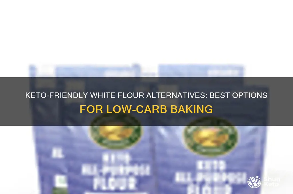 what the best white flour for keto diet