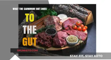 The Carnivore Diet: Impact on Gut Health