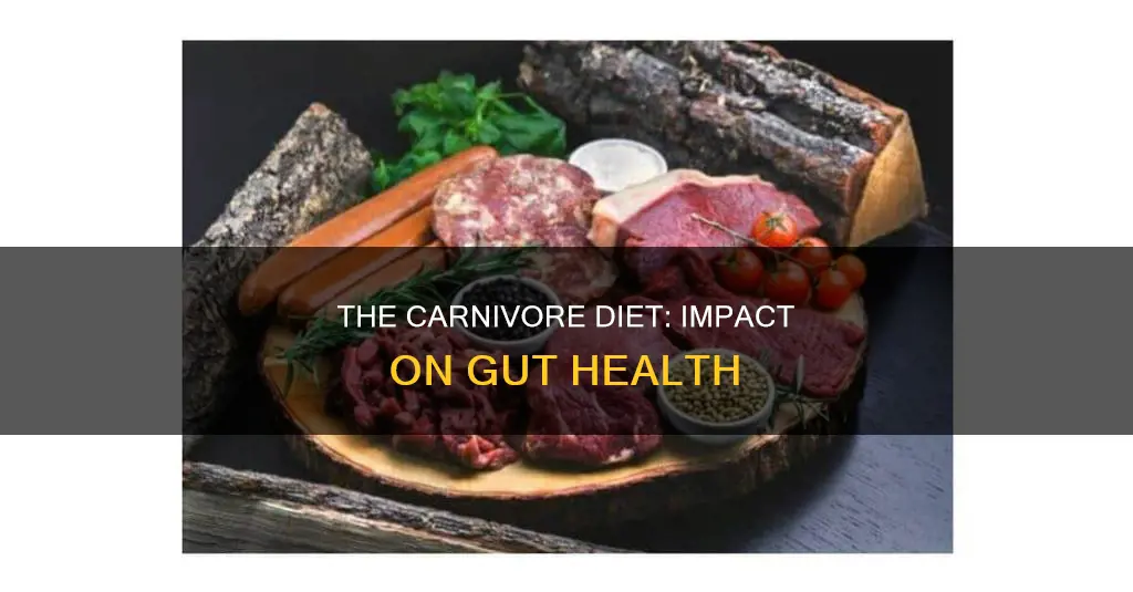 what the carnivore diet does to the gut