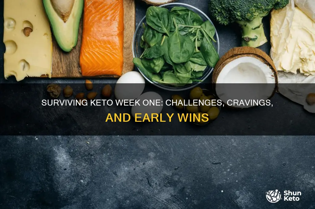 what the first week on keto diet is like