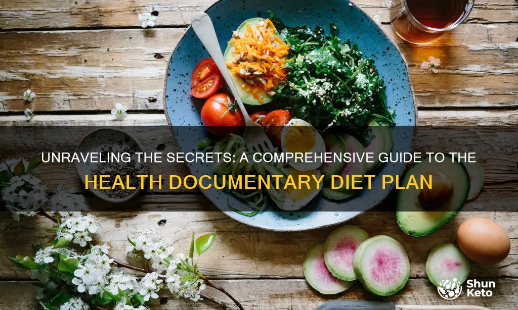 what the health documentary diet plan