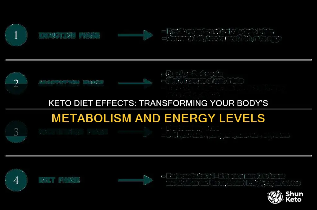 Keto Diet Effects Transforming Your Body's Metabolism And Energy