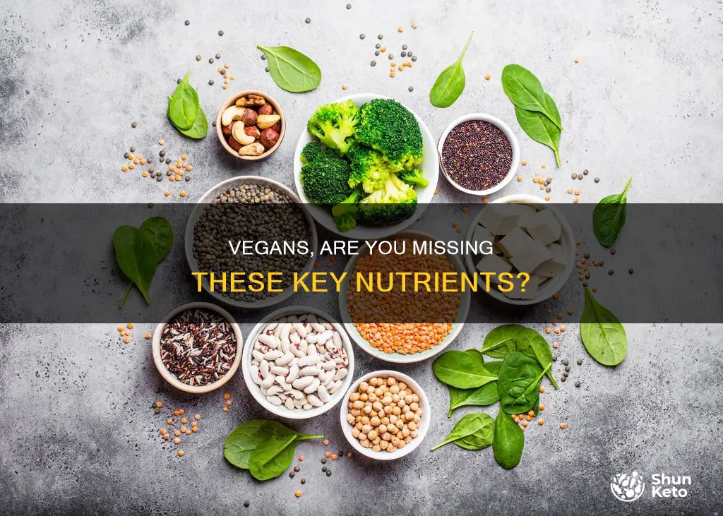 what things are missing in a vegean diet