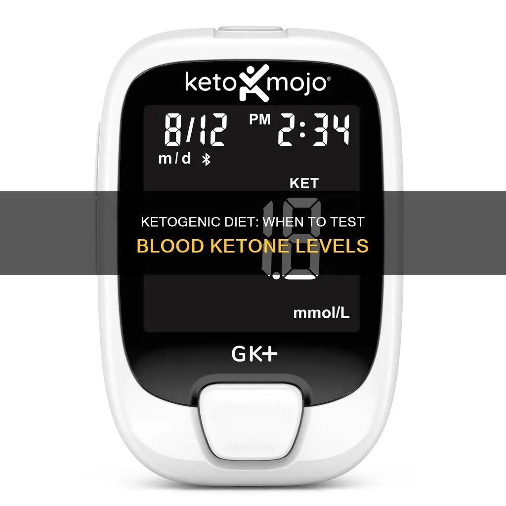 what time to test blood ketone levels ketogenic diet