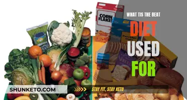 The Best Diet for Your Health and Wellness