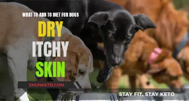 Soothing Your Dog's Dry Skin: What to Feed Them