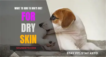 Add These to Your Dog's Diet for Dry Skin Relief