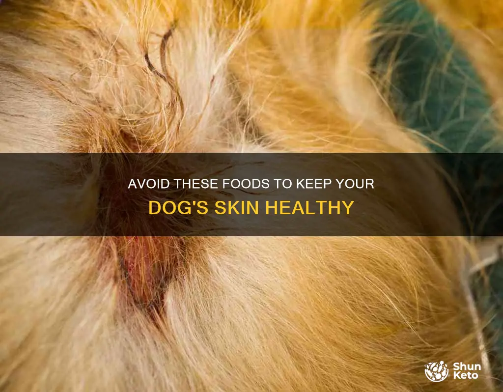 what to avoid diet wise if dog has hot spots