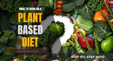 Plant-Based Diet: Pitfalls to Avoid for Healthy Eating