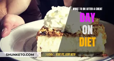 Strategies to Reset Your Diet After a Cheat Day