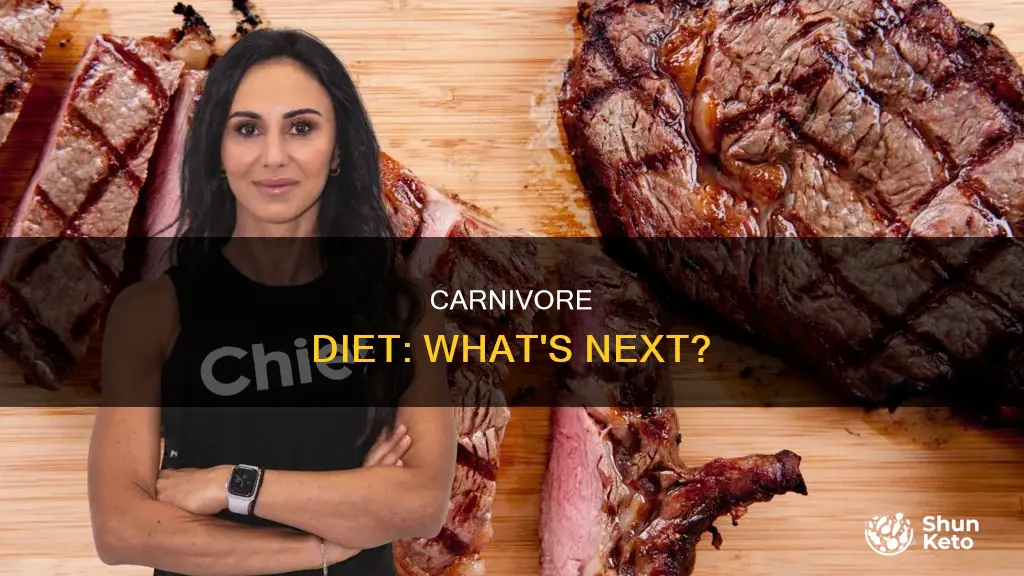 what to do after carnivore diet
