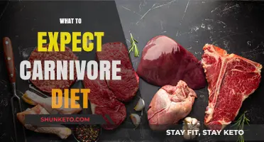 Carnivore Diet: What to Expect and How to Prepare