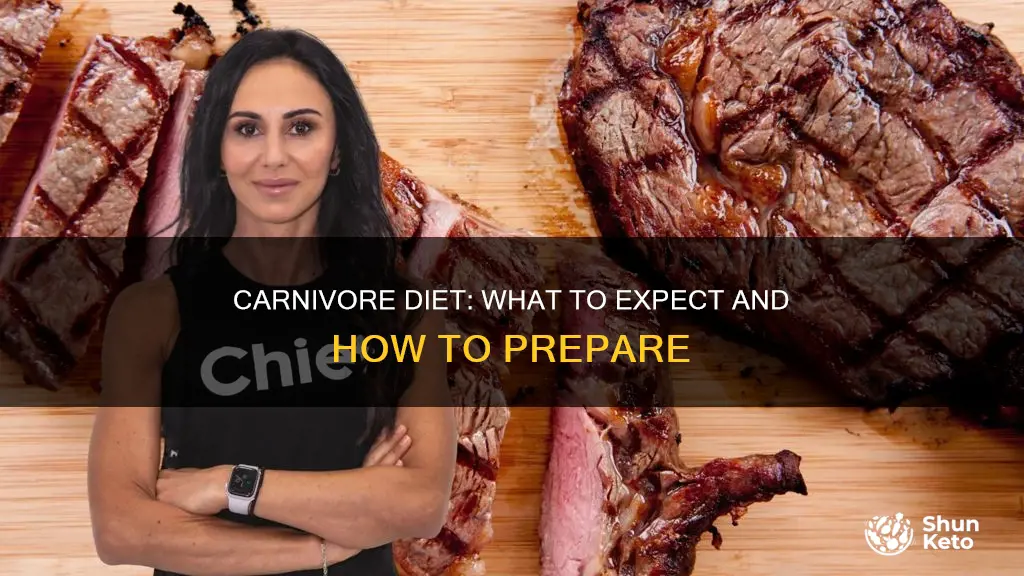 what to expect carnivore diet