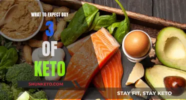 Keto Diet: Day 3 Expectations and Experiences