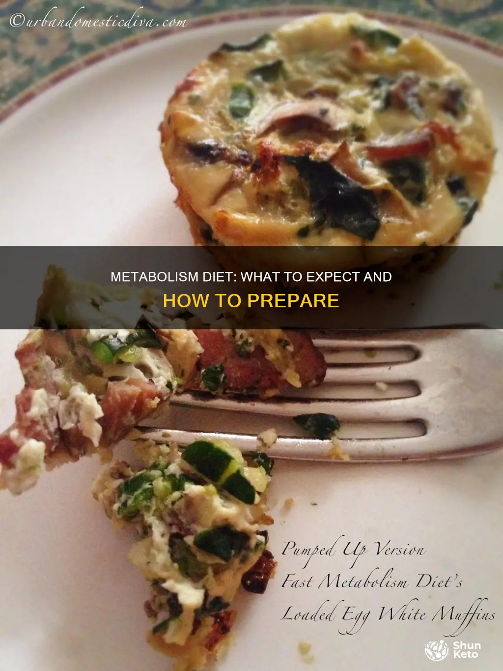 what to expect during the fast metabolism diet