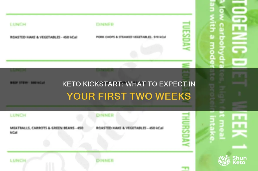 what to expect first two weeks of keto diet