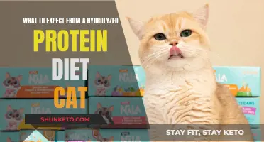 Hydrolyzed Protein Diet: What Your Cat Needs