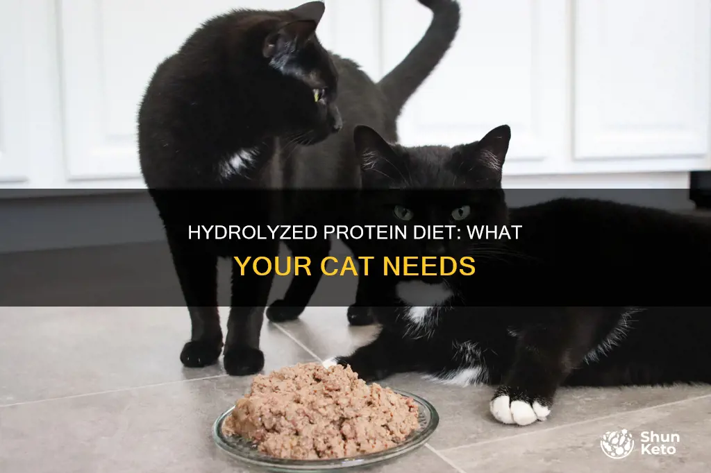 what to expect from a hydrolyzed protein diet cat