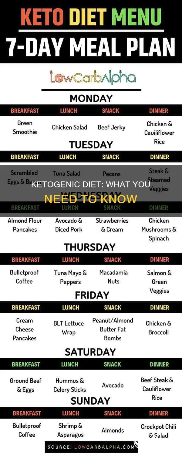 what to expect from a ketogenic diet