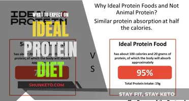 Ideal Protein Diet: What to Expect and How to Prepare