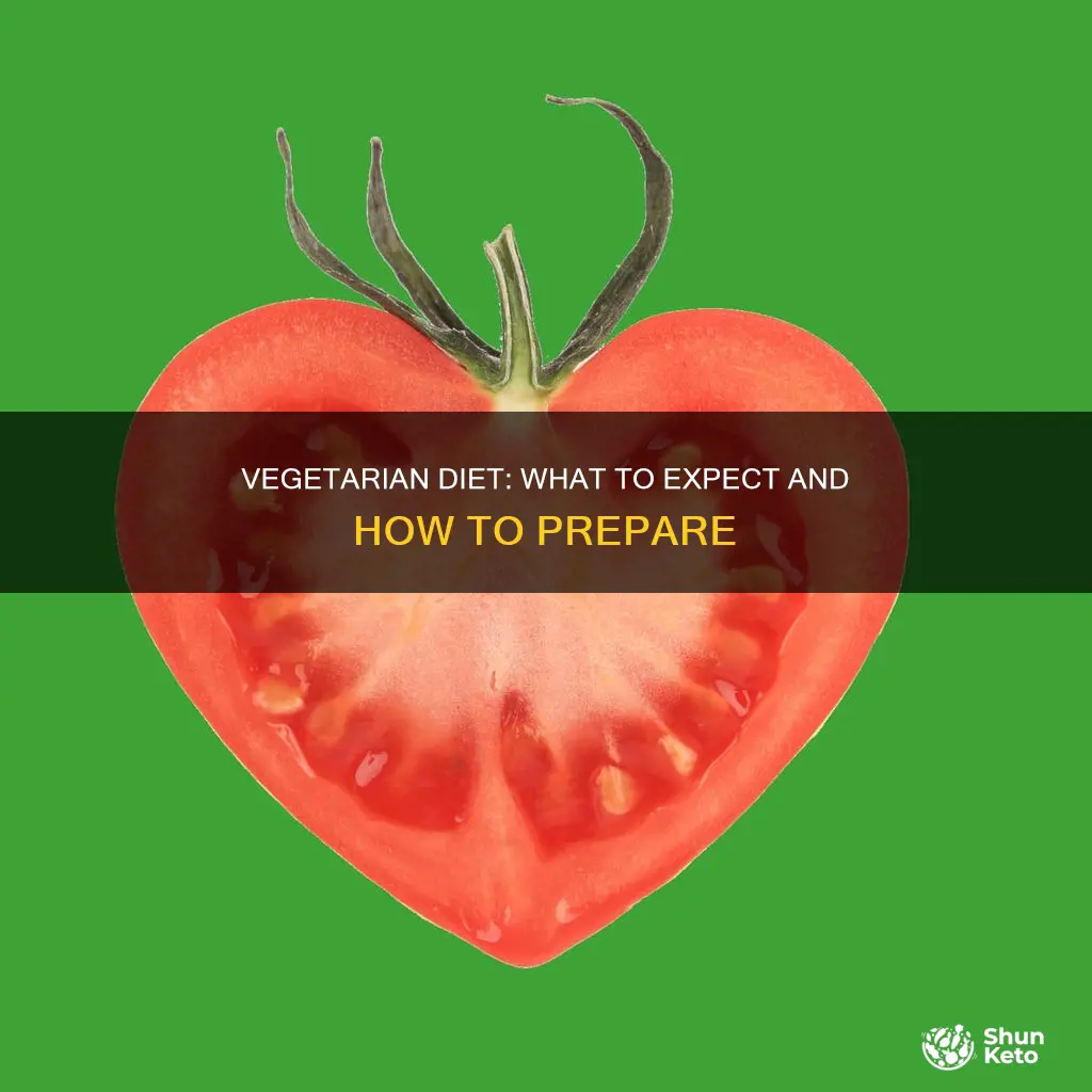what to expect when switching to a vegetarian diet