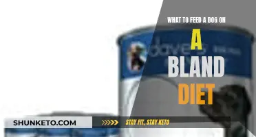 Bland Diet for Dogs: What Human Food Can They Eat?