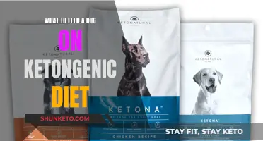 Keto Diet for Dogs: What to Feed Your Pooch