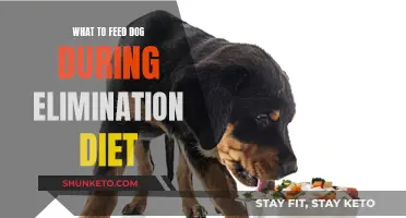 Dog Elimination Diet: What to Feed Your Pup?