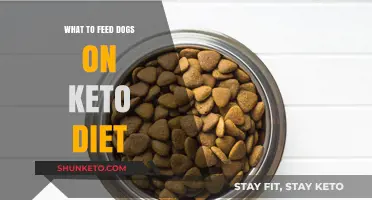 Keto for Canines: Best Low-Carb Dog Food Options