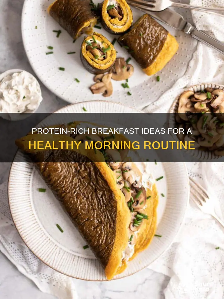 what to have for breakfast on a protein diet