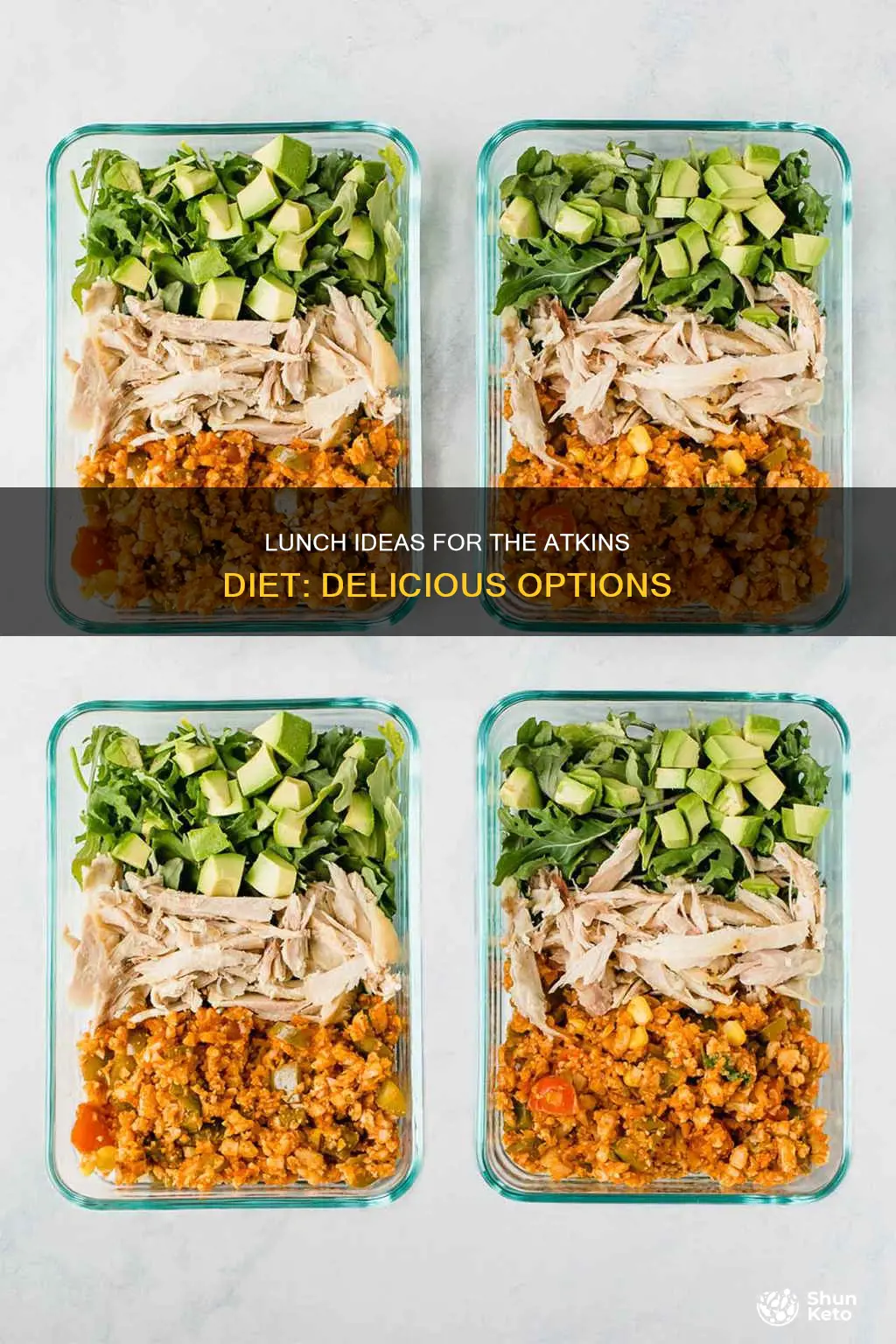 what to have for lunch on atkins diet