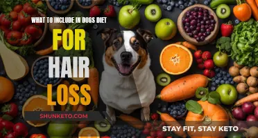 Nutrition Tips to Aid Canine Hair Loss Recovery