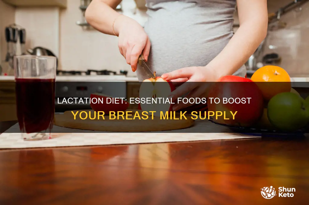 what to increase in diet during lactation ati