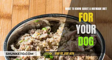 Homemade Dog Food: What You Need to Know