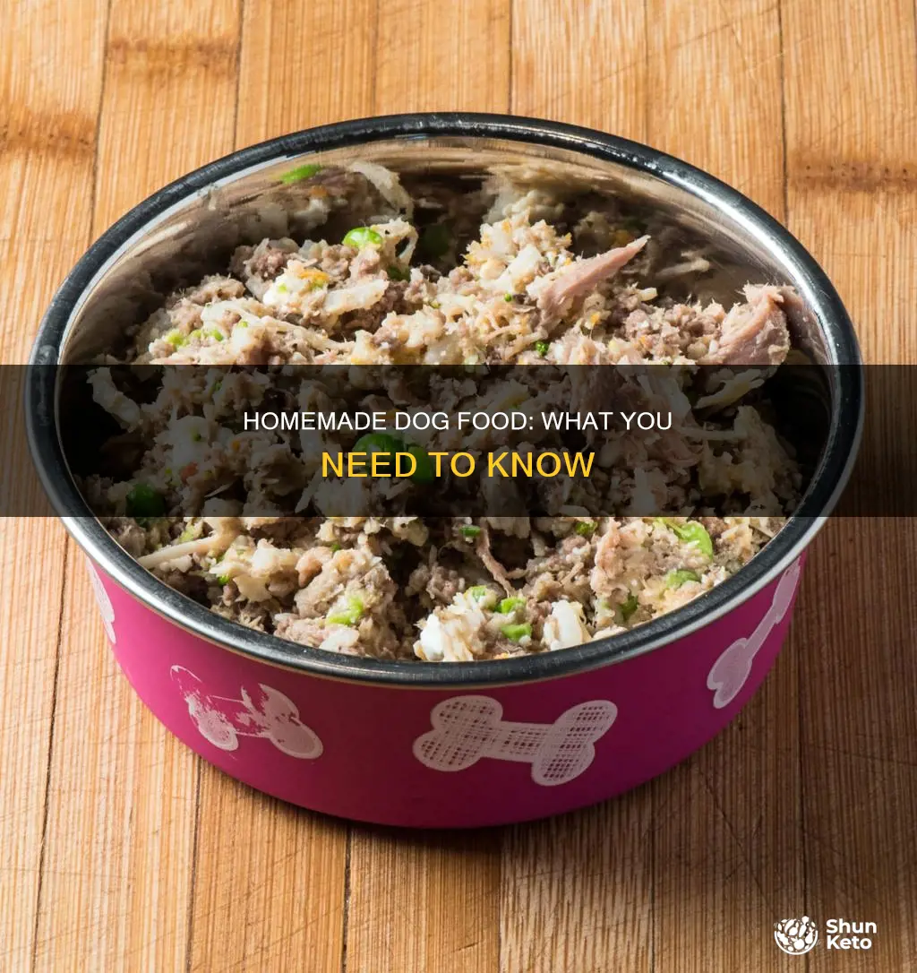 what to know about a hoemade diet for your dog