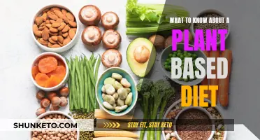 Plant-Based Diets: Benefits, Challenges, and What to Know