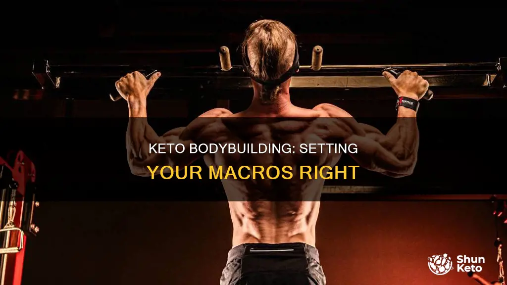 what to set macros keto bodybuilding