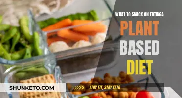 Plant-Based Diet Snacking: Healthy and Delicious Options