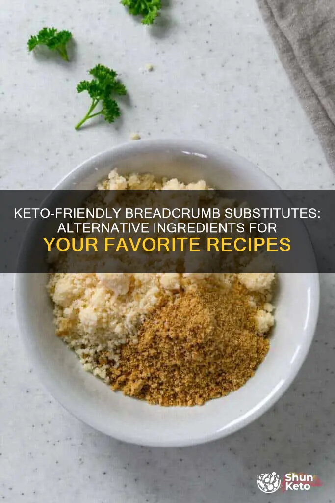 what to substitute breadcrumbs with for ketogenic diet