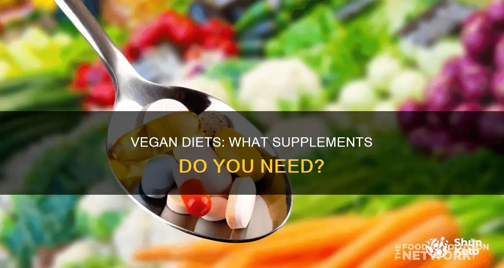 what to supplement on a vegan diet