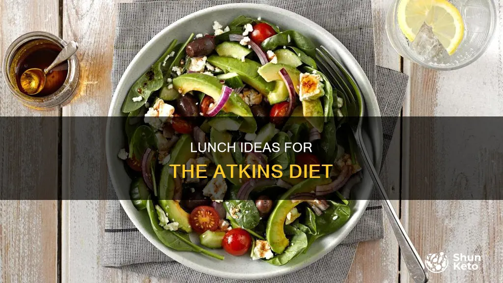 what to take fpr lunch on atkins diet atkin