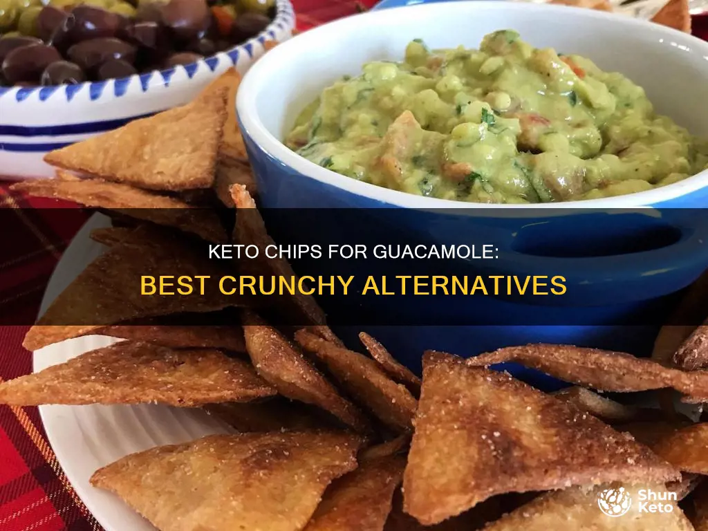 what to use for keto chips for guacomole