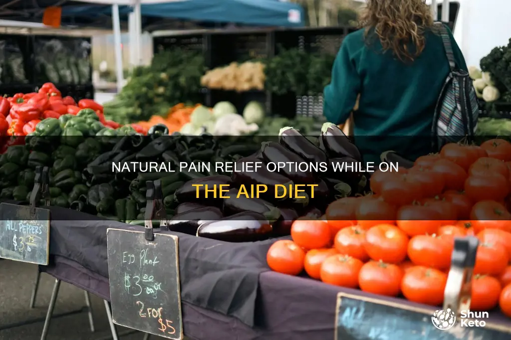 what to use for pain relief on aip diet